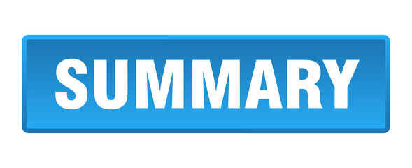 summary button. summary square blue push button