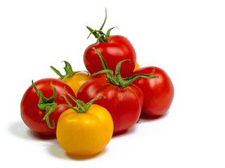 Gelbe und rote Tomaten vor weißem Hintergrund