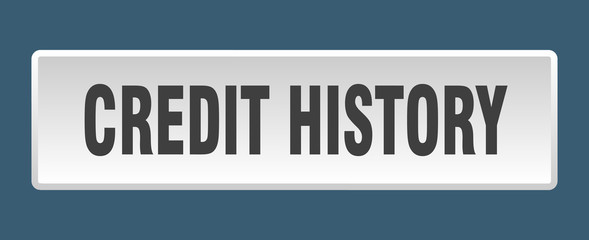 credit history button. credit history square white push button