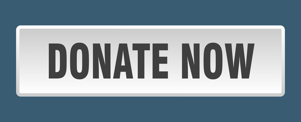 donate now button. donate now square white push button