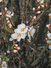 The birth of beauty.Composition 1.