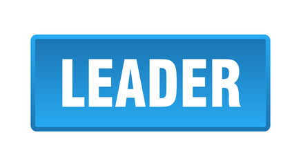 leader button. leader square blue push button