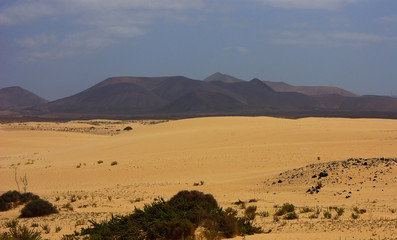 Desert dunes and mountains dry and arid landscape