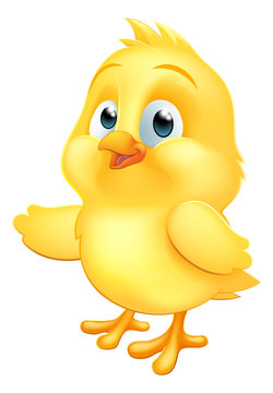 A cute chicken chick yellow baby bird cartoon mascot illustration pointing with its wing