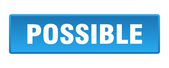 possible button. possible square blue push button