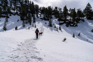 Hiker woman with her dog in National Park of Aig&uuml;estortes and lake of Sant Maurici.
