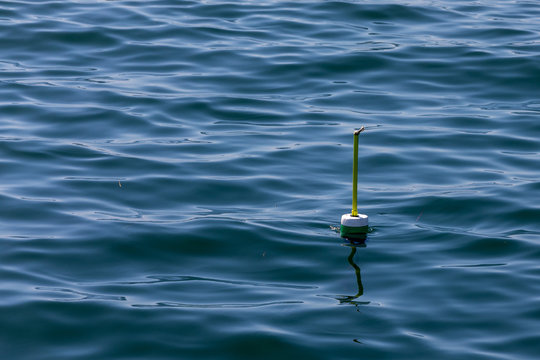Lobster Pot Marker at Orr's Island