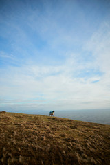 Fototapeta na wymiar obeja solitaria caminando en la montaña, Donegal. Slieve leave. Irlanda