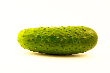 Cucumber on a white background.Fresh green cucumber.