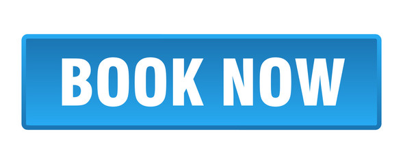 book now button. book now square blue push button