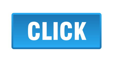 click button. click square blue push button