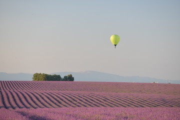 Fototapeta na wymiar hot air balloon over the field