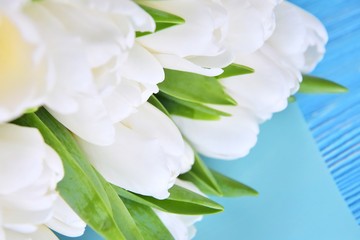 Obraz na płótnie Canvas Bouquet of elegant white tulips on blue wooden background. Beautiful bunch of tender spring flowers. Easter gift. Springtime. Greeting card for womans day. 