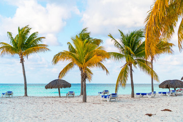 Fototapeta na wymiar Idyllic tropical beach with white sand, turquoise ocean water and big palm trees