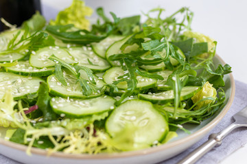 Salad of fresh cucumbers, spinach leaves, arugula, avocado. Served with slices of eggs and red pepper. Dietary nutrition. Breakfast for the whole family. Vitamin plate. On a light background.