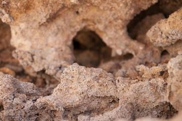 The texture of sandy rock on a beach near the sea, selective focus