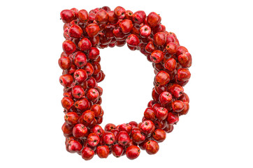 Letter D from red apples, 3D rendering