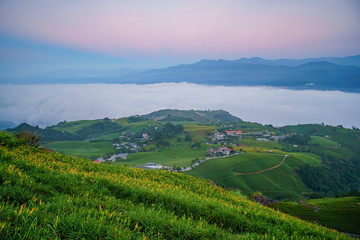 Sunrise of the famous and beautiful Daylily flower at sixty Stone Mountain