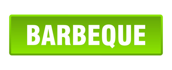 barbeque button. barbeque square green push button