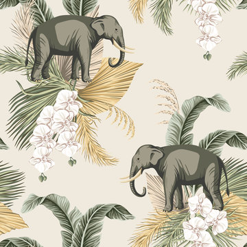 Vintage tropical palm leaves, flower white orchid, elephant animal floral seamless pattern beige background. Exotic safari wallpaper.
