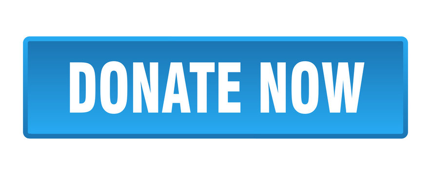 donate now button. donate now square blue push button