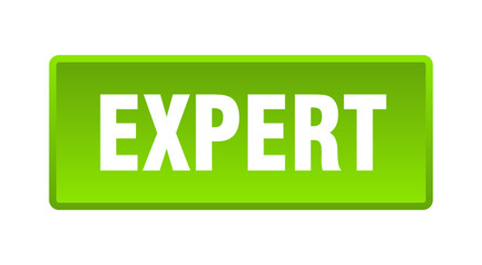 expert button. expert square green push button