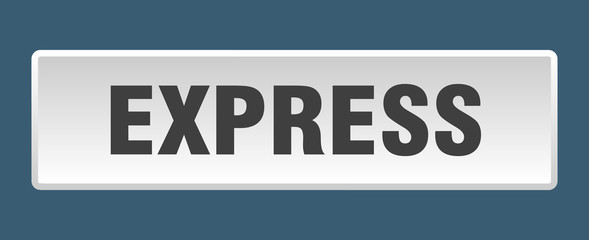 express button. express square white push button