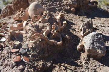 Calavera desarmada cultura inca