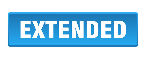 extended button. extended square blue push button