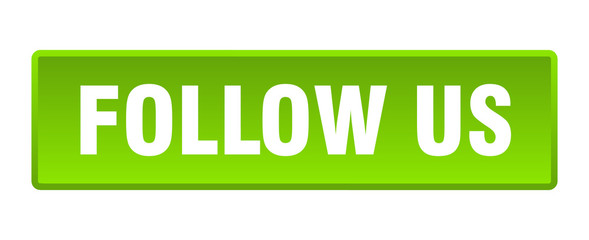 follow us button. follow us square green push button