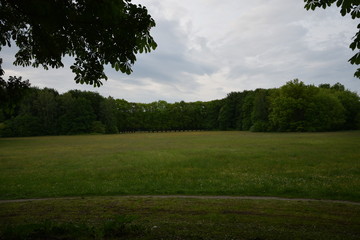 Obraz premium Die Lichtung