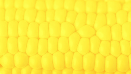 Vivid yellow fresh sweet corn, textured background. 16:9 panoramic format