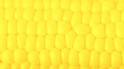 Vivid yellow fresh sweet corn, textured background. 16:9 panoramic format
