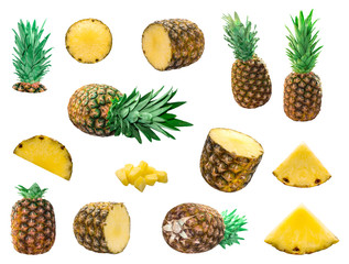 Isolated set of pineapple on white background bright