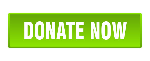 donate now button. donate now square green push button