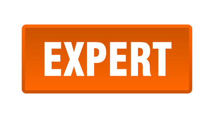 expert button. expert square orange push button