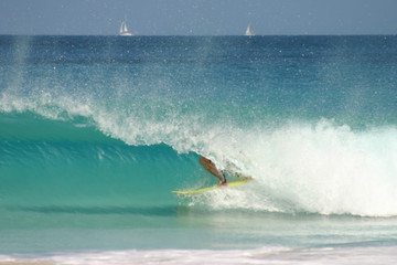 Fototapeta premium Surfer getting barreled on wave in azure clear Caribbean Sea