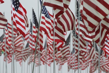 Grosse Zahl an US Flaggen