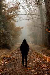 Tarde de oto&ntilde;o