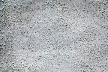 texture, background of white decorative plaster