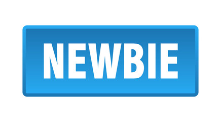 newbie button. newbie square blue push button