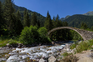 Fototapeta na wymiar An old stone bridge in the Rize Highlands