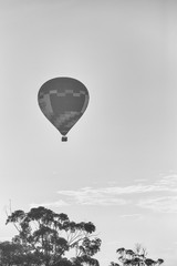 hot air balloon