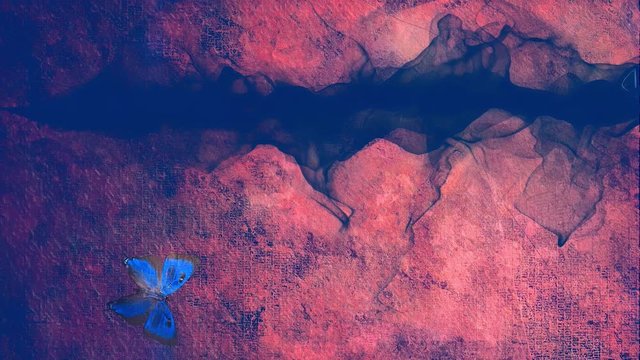 Butterfly on mystic abstract background
