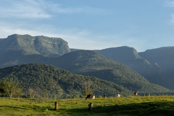 landscape in the mountains