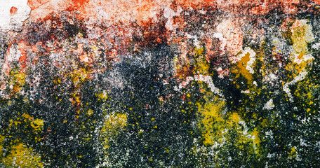 texture of mold and moss on the house