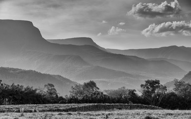 mountains in the fog