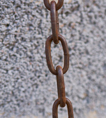steel rusty chain on a beautiful background