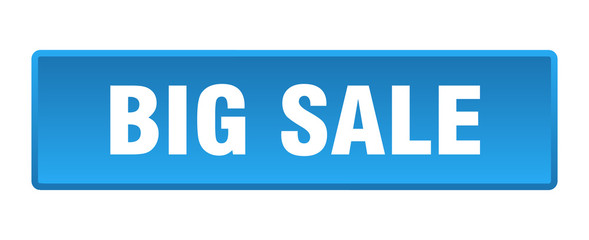 big sale button. big sale square blue push button