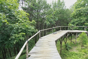Bamboo bridge that surrounds a green garden area